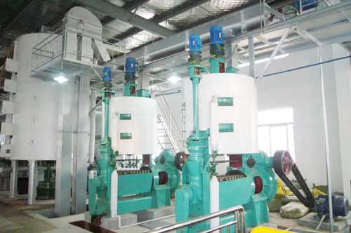 Expulsor automático de la prensa de aceite del tornillo para la rabina/la semilla de algodón 18.5KW